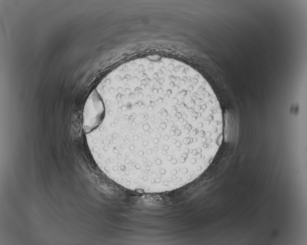 X0000115181491200912091034