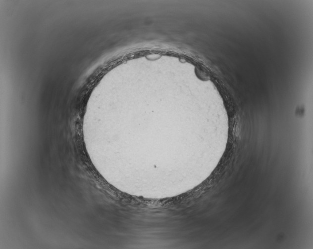 X0000115181495200912091034