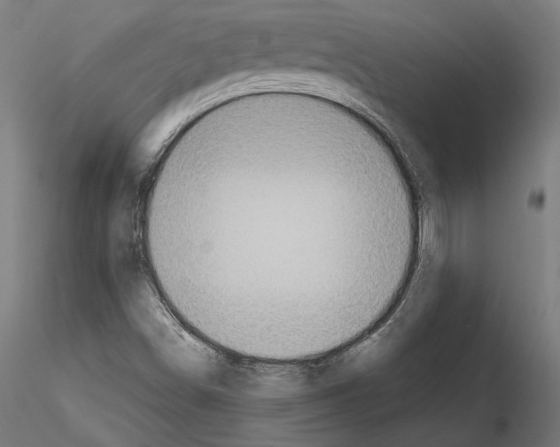 X0000115181498200912091034