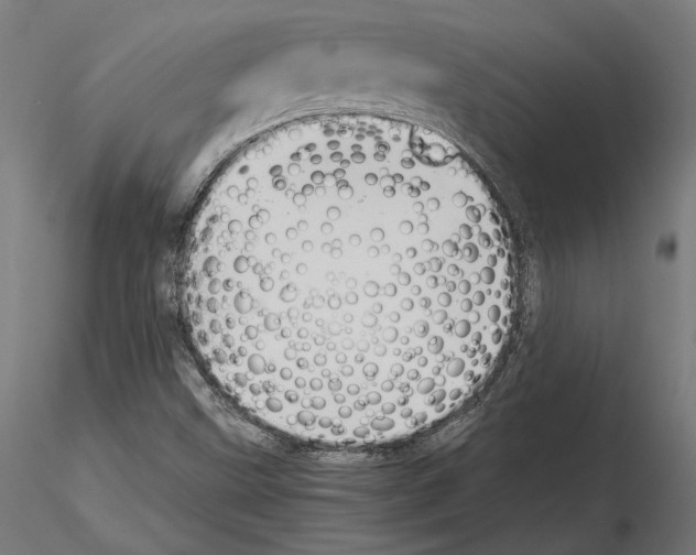X0000115181499200912091034