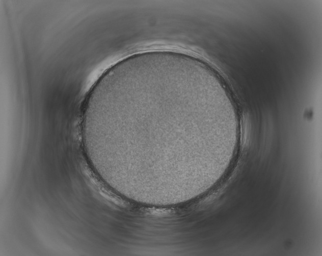 X0000115181501200912091034