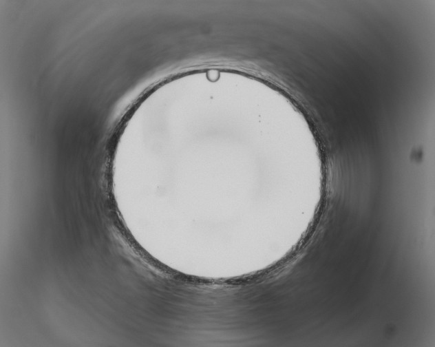 X0000115181502200912091034