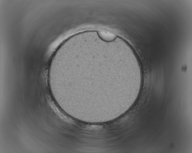 X0000115181503200912091034