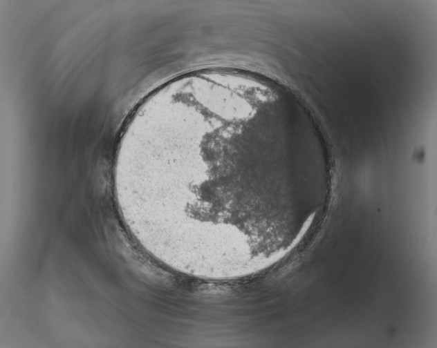 X0000115181505200912091034