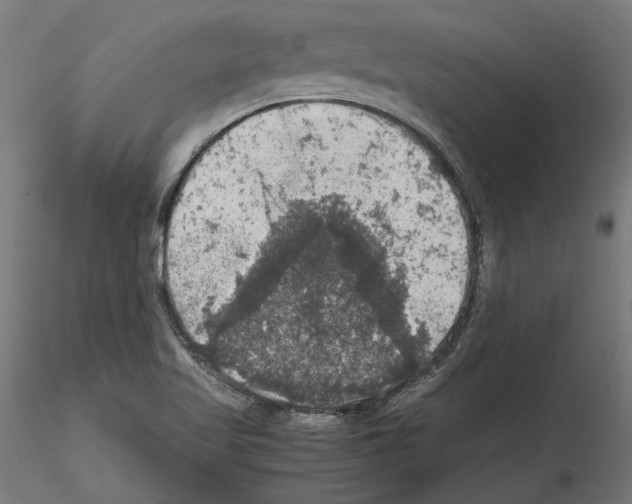 X0000115181509200912091034