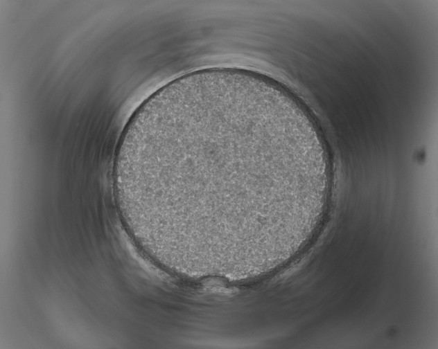 X0000115181513200912091035