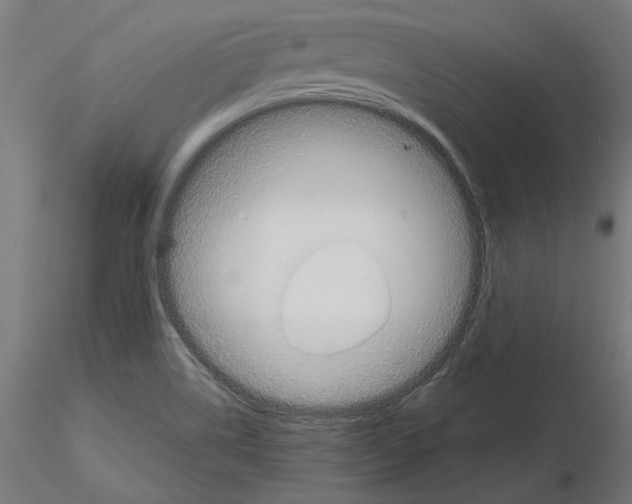 X0000115181514200912091035