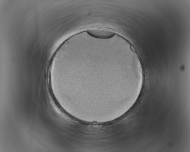 X0000115181515200912091035