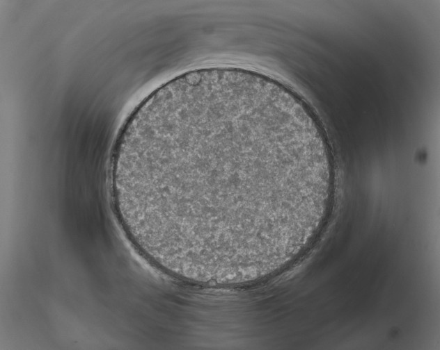 X0000115181517200912091035