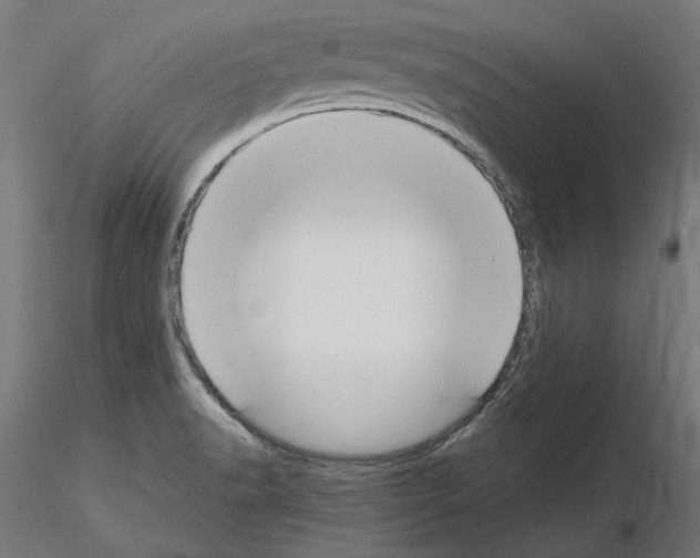 X0000115181518200912091035
