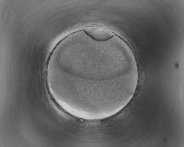 X0000115181519200912091035