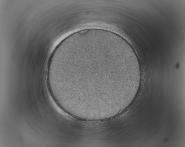 X0000115181523200912091035