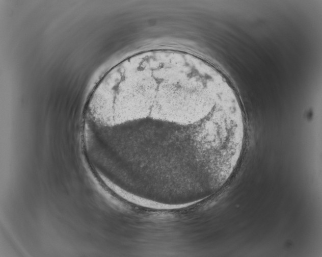X0000115181525200912091035