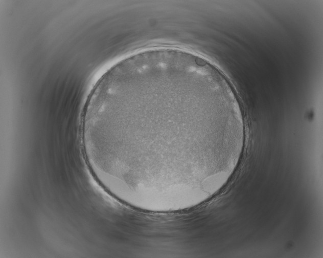 X0000115181527200912091035