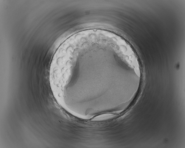 X0000115181529200912091035
