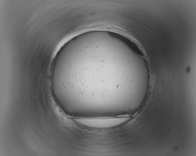X0000115181530200912091035