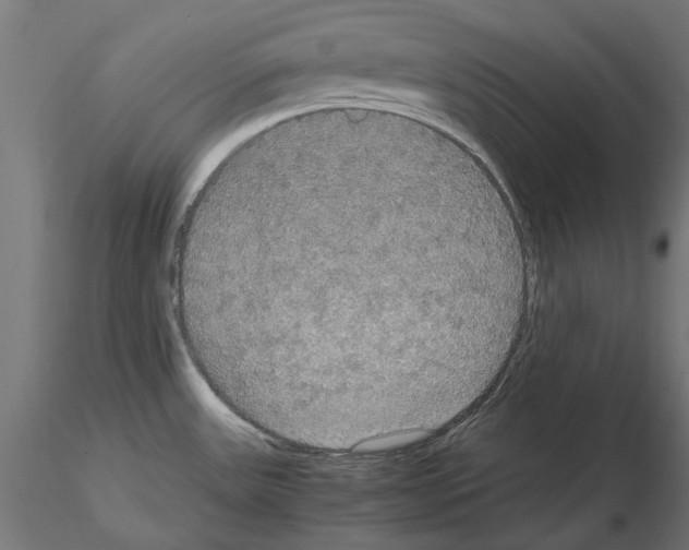 X0000115181531200912091035
