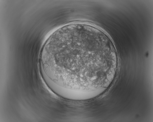 X0000115181533200912091035