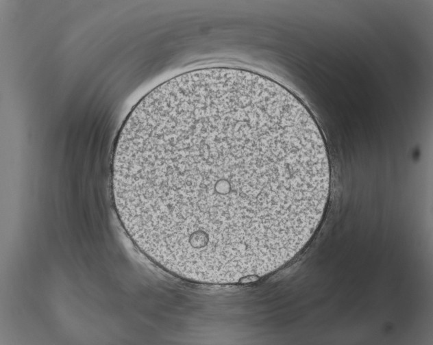 X0000115181534200912091035