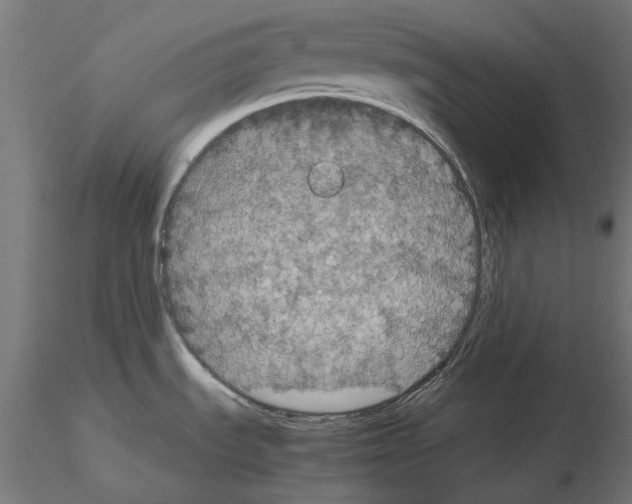 X0000115181535200912091035