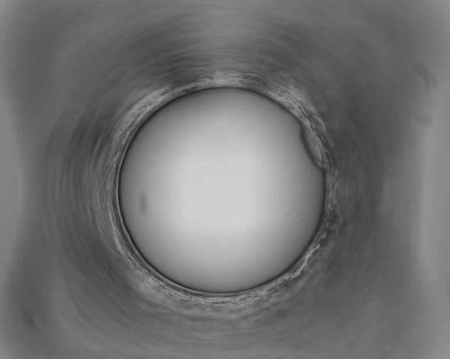 X0000115190001200911121831