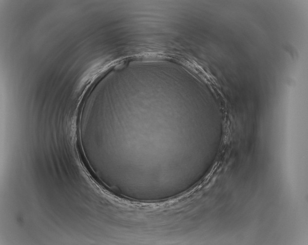 X0000115190002200911121831