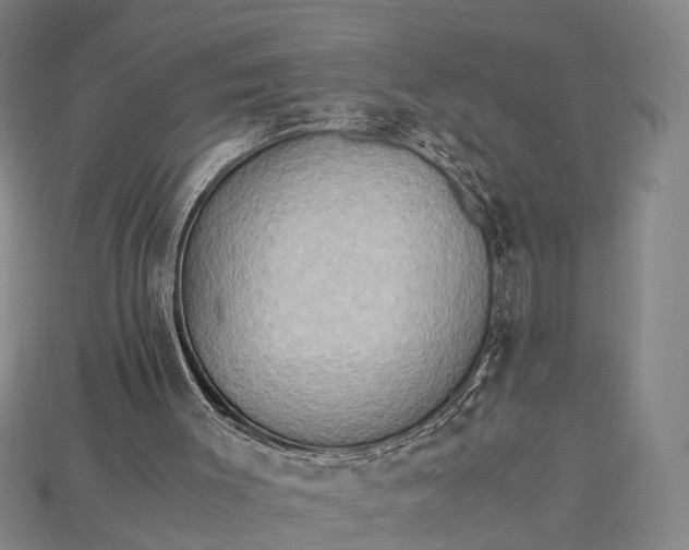 X0000115190003200911121831