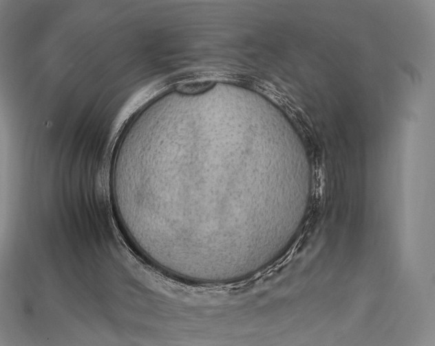 X0000115190004200911121831