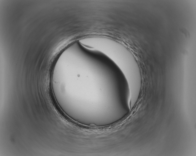 X0000115190005200911121831