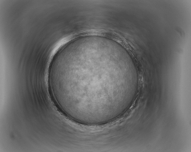 X0000115190006200911121831