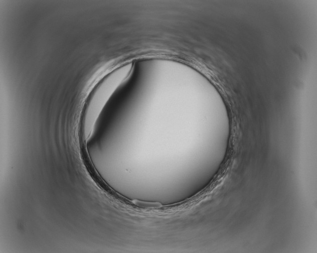 X0000115190007200911121831