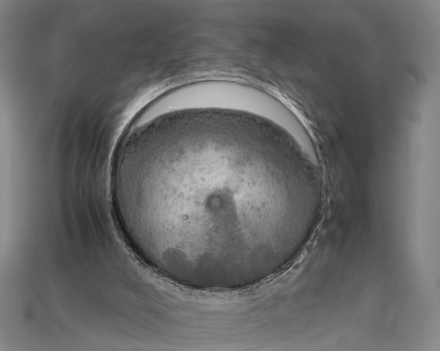 X0000115190008200911121831