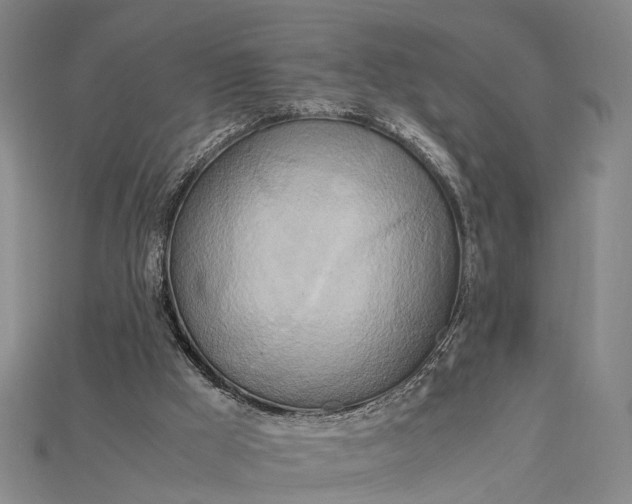 X0000115190009200911121831