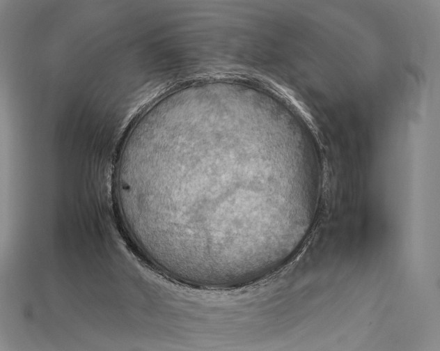 X0000115190010200911121831