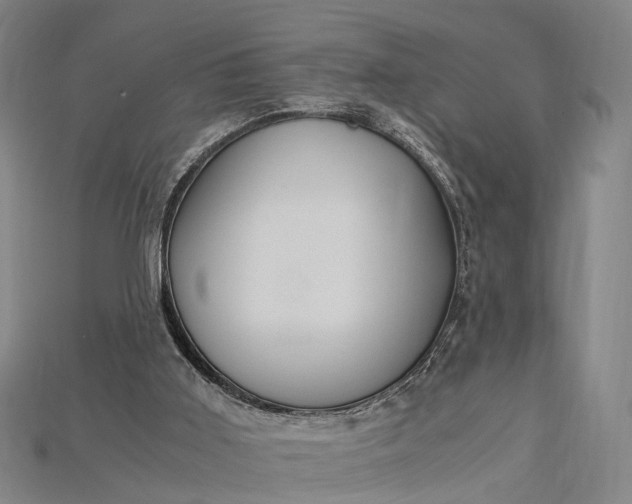 X0000115190011200911121831