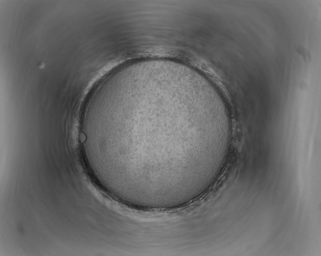 X0000115190012200911121831