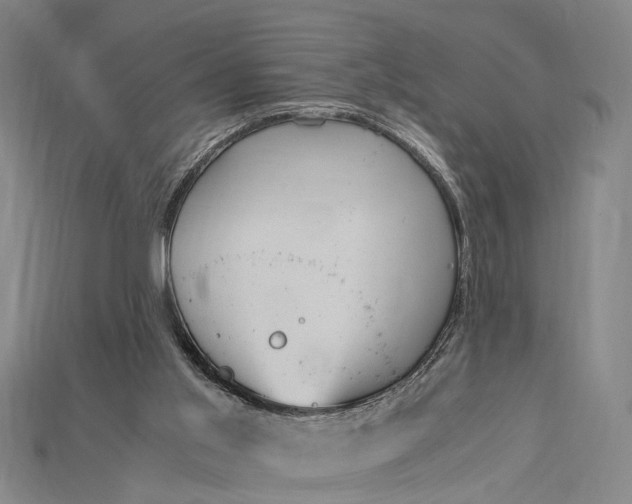 X0000115190013200911121831