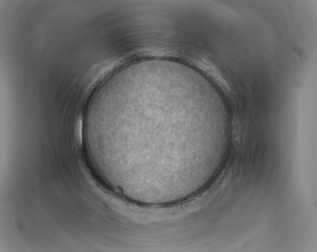 X0000115190014200911121831