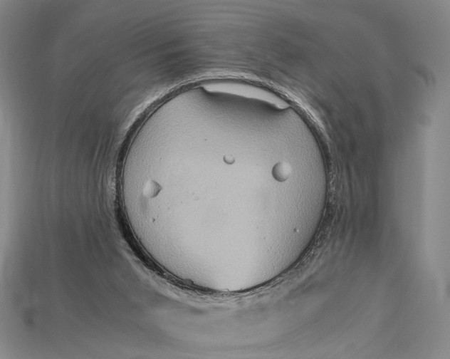 X0000115190015200911121831