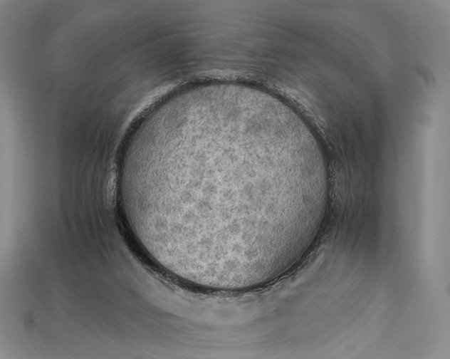 X0000115190016200911121831