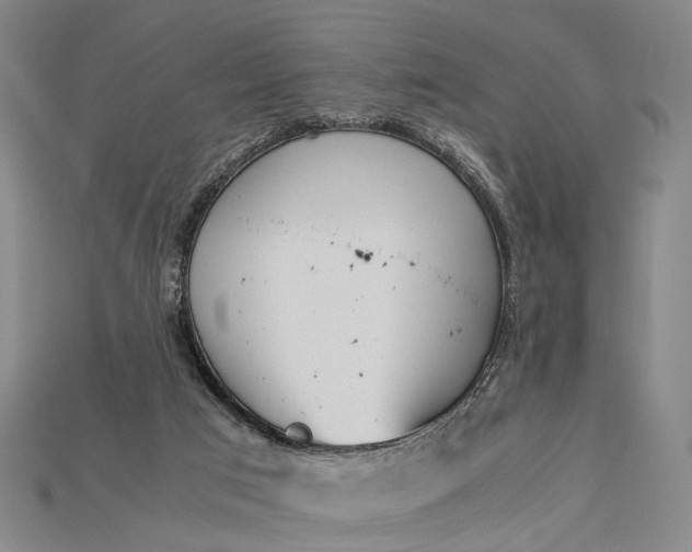 X0000115190017200911121831