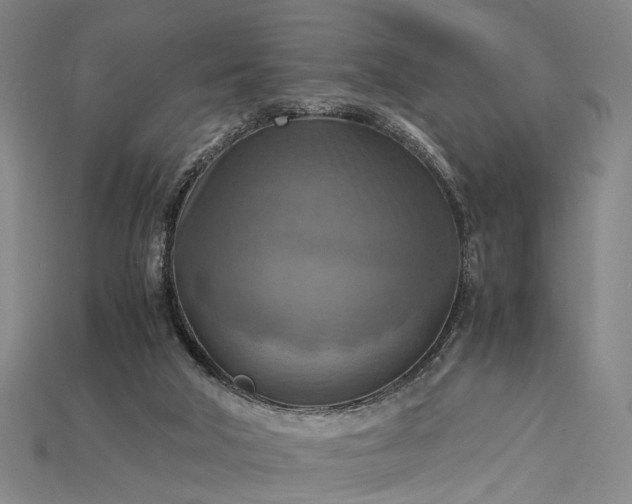 X0000115190018200911121831