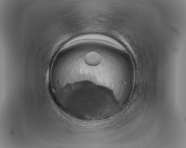 X0000115190019200911121831