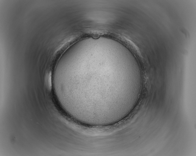 X0000115190020200911121831