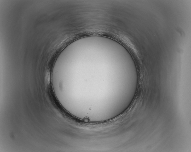 X0000115190021200911121831