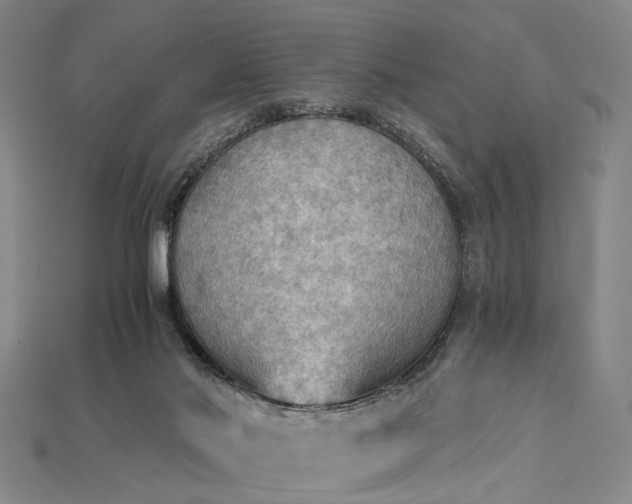 X0000115190022200911121831