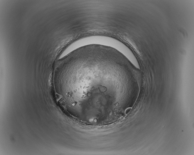 X0000115190023200911121831