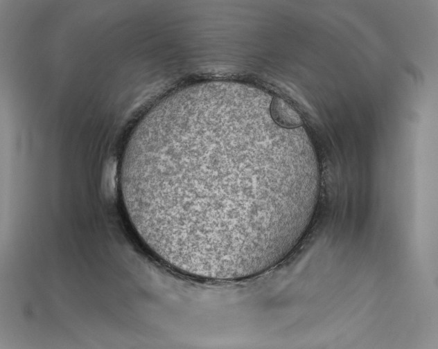 X0000115190024200911121831