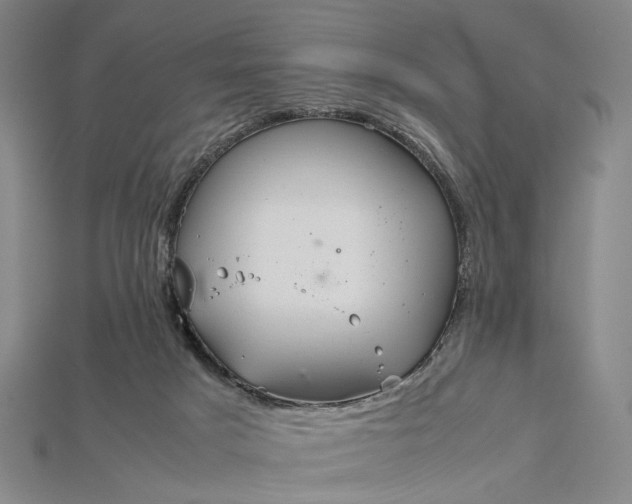 X0000115190025200911121831