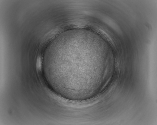 X0000115190026200911121831